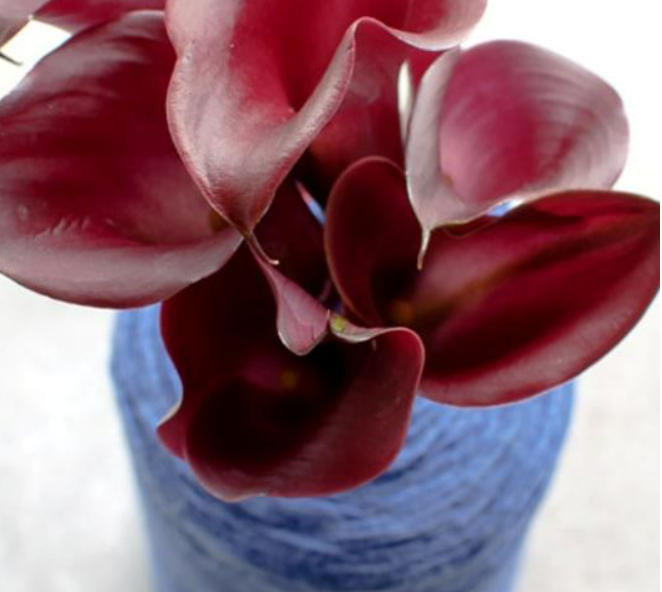 Calla Santiago