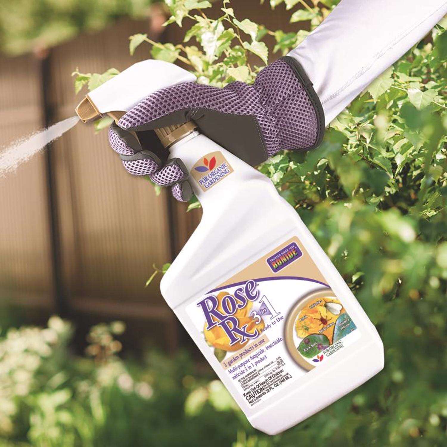 Pest Control